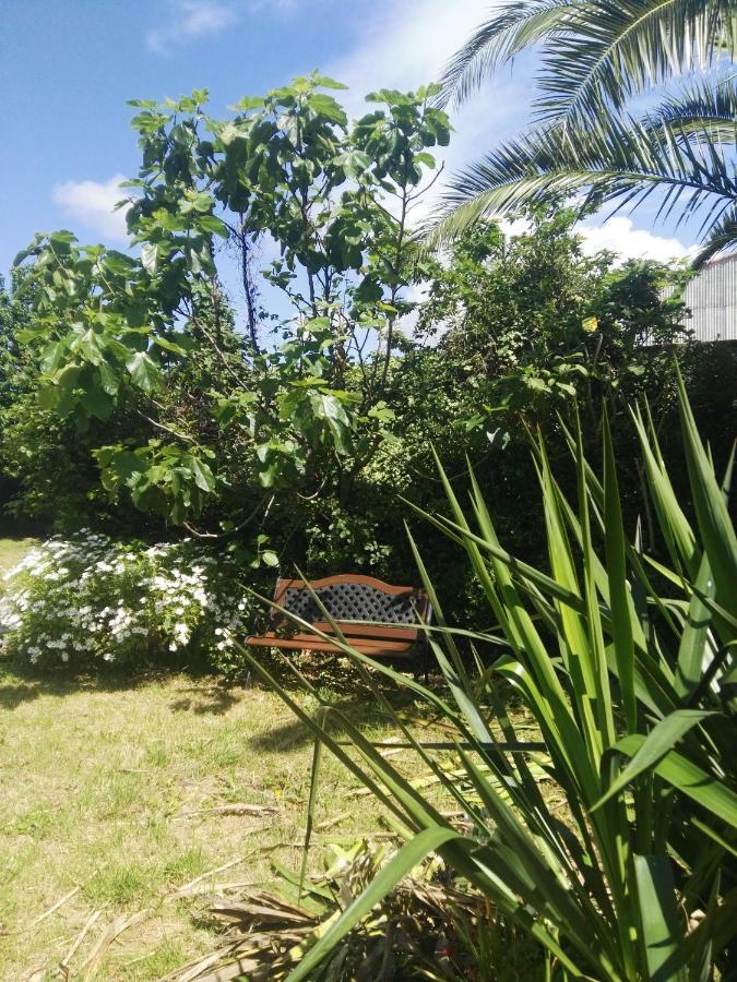 Apartament Pisos Vistalegre 2B Con Jardin Cerca Del Mar Sanxenxo Zewnętrze zdjęcie