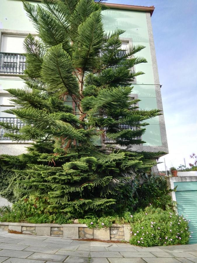 Apartament Pisos Vistalegre 2B Con Jardin Cerca Del Mar Sanxenxo Zewnętrze zdjęcie